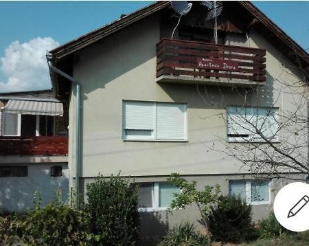 Appartement Drava 1 Donja Dubrava 外观 照片